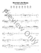 Worried Life Blues Guitar and Fretted sheet music cover